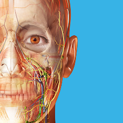 Human Anatomy Atlas 